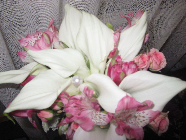 Лариса Запрудная