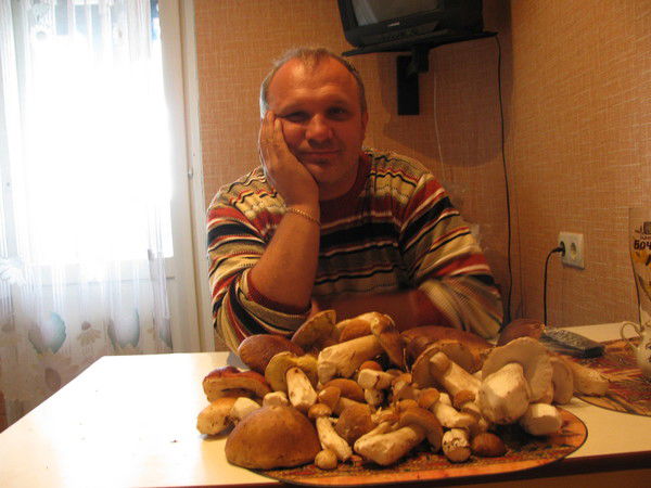 Служба Поддержки