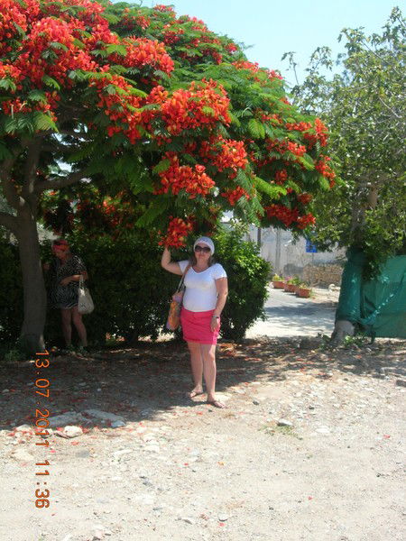 Васильевалена Е