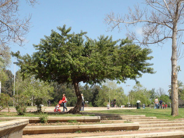 Алексей Головачев