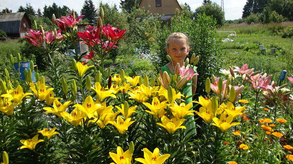 Алена Сотникова