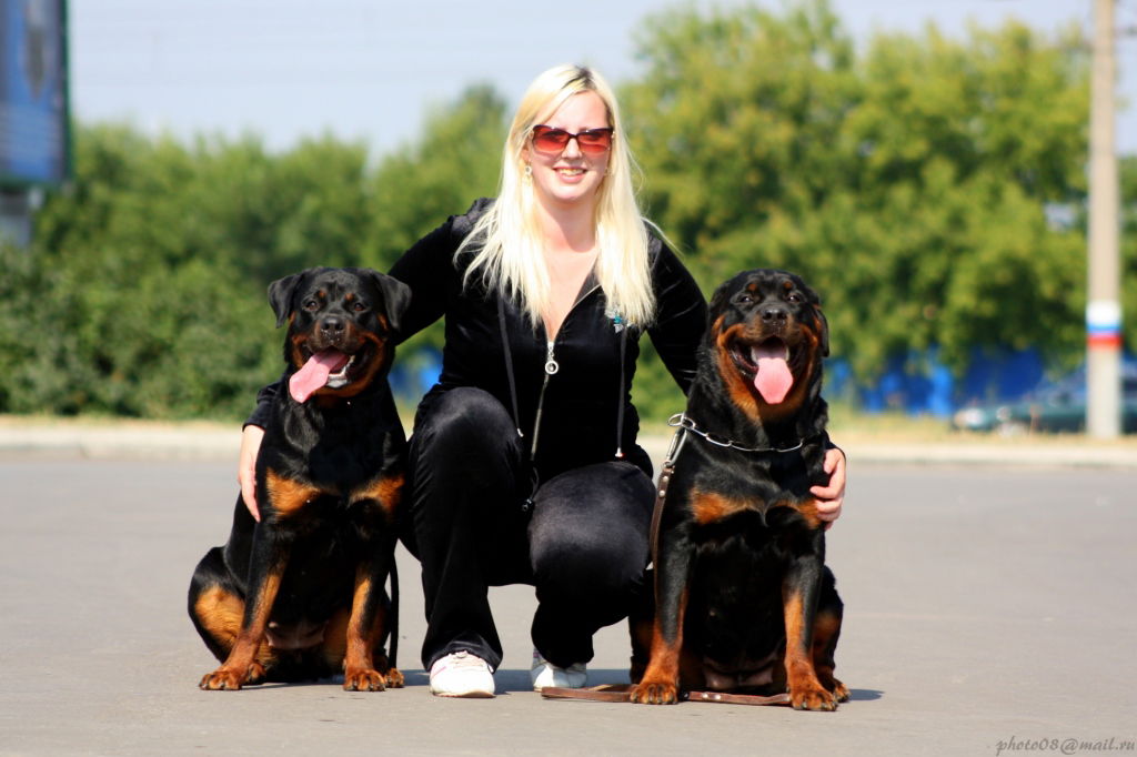 Мария Стоян