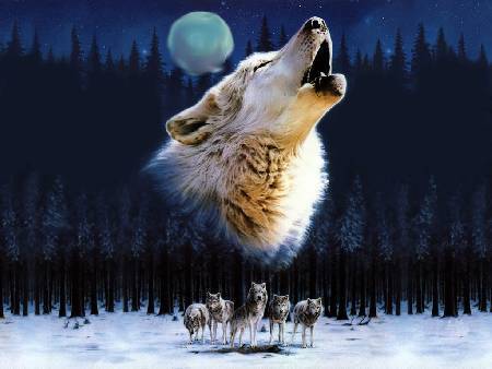 Ленусик Зинкевич