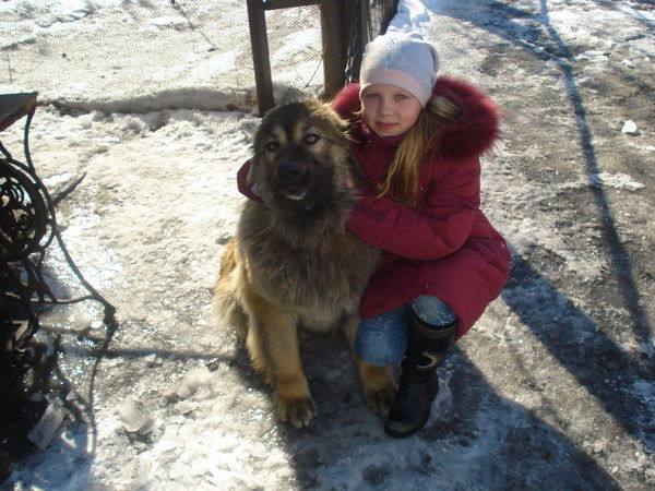 София Логунова