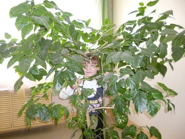 Эльмира Бикбулатова