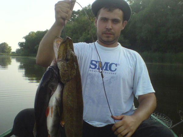 Володя Ротарь