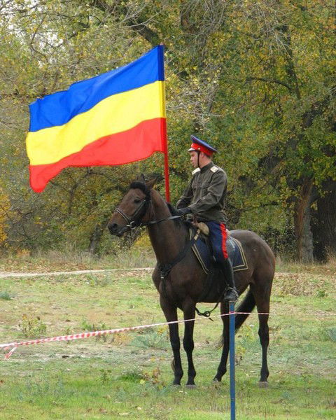 Вокнерук Дмитрий