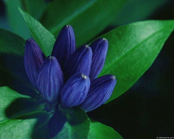 Людмила Сабирова