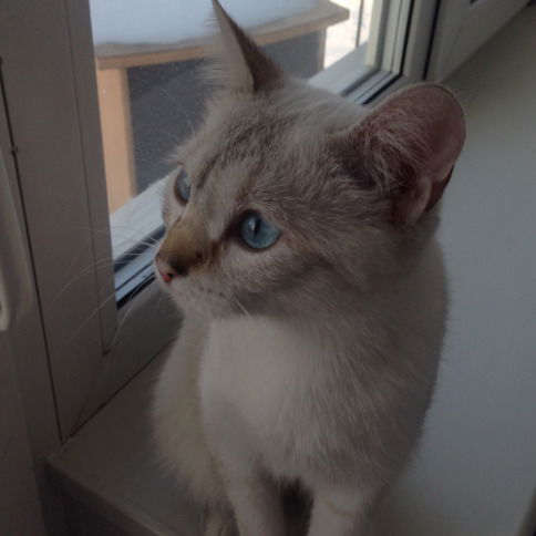 Екатерина Речкова