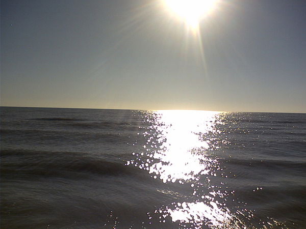 Виталий Денисов