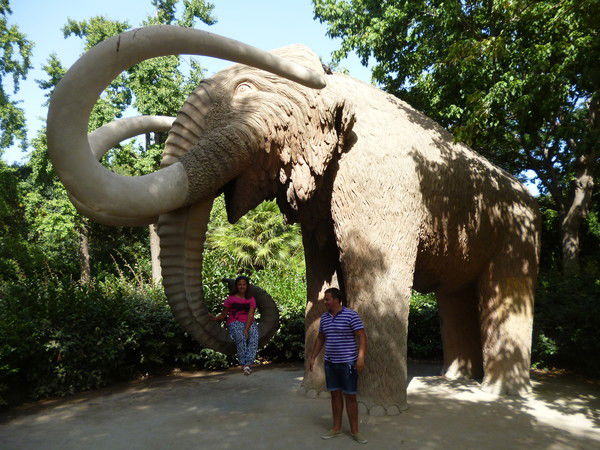 Женюля))))) ))))))