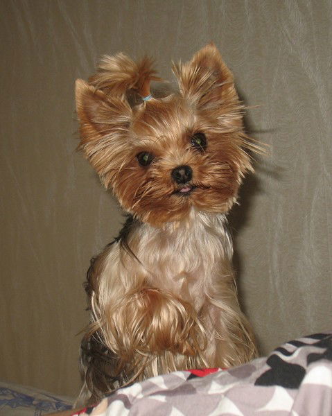 Марина Кузнецова