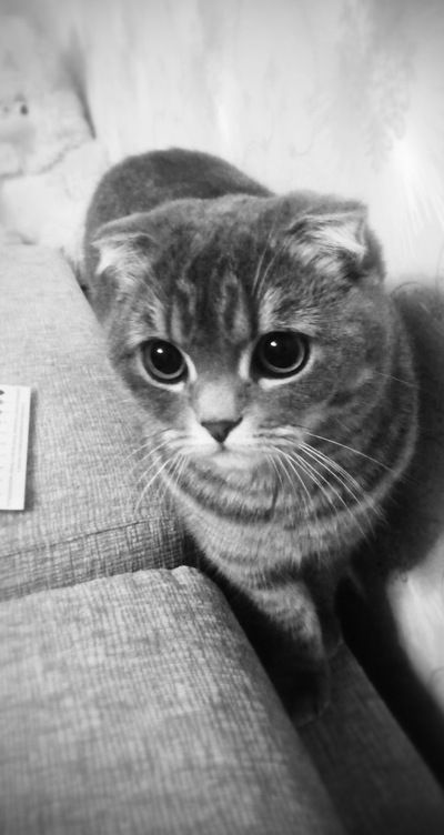 Даша Тищенко