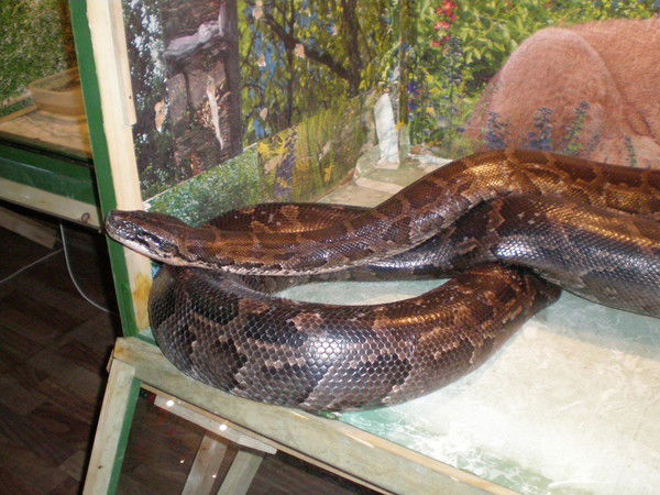 Галина Суслова