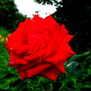 Екатерина Либина