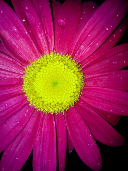 Инна Булыгина