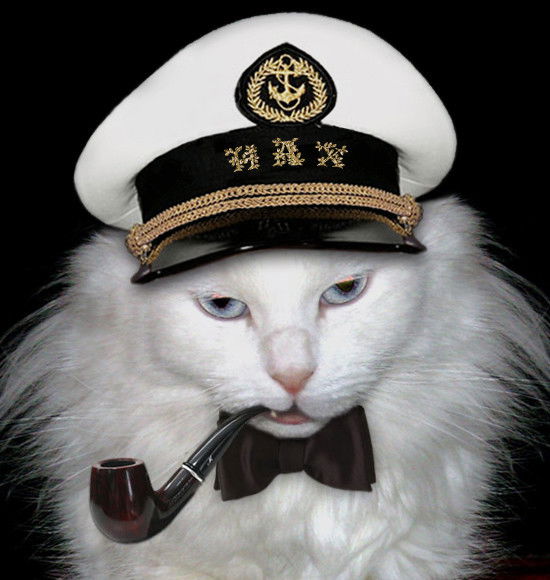 Михаил Пономарев