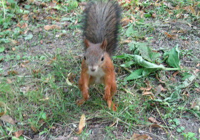 Павел Сильченков
