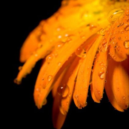 Бухгалтерия Гбуз Мухоршибирская Црб