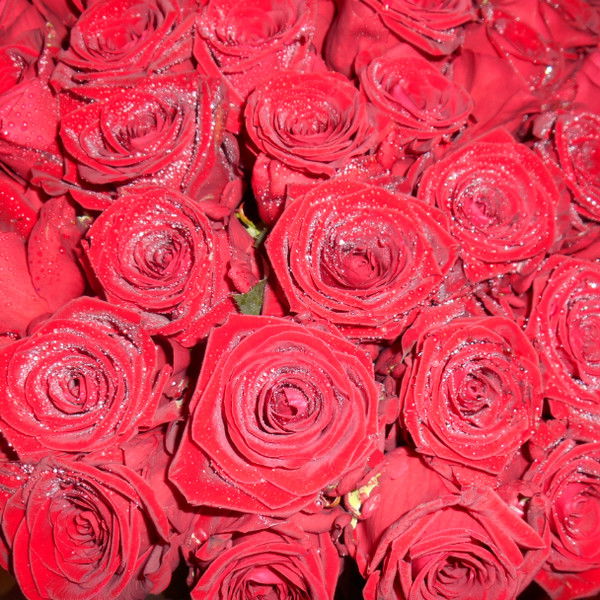 Татьяна Ефремова