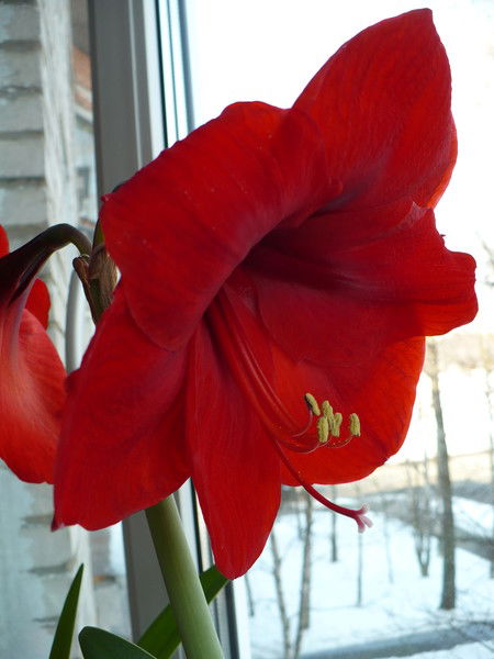 Татьяна Репина