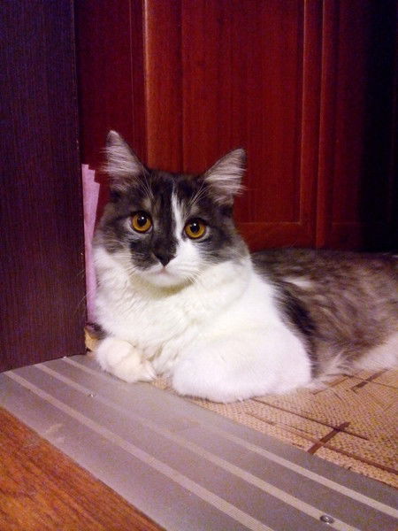 Марина Бабакова