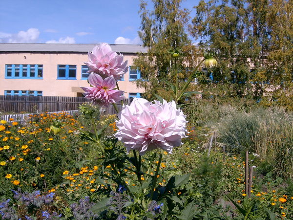 Кыренская Сош Моу