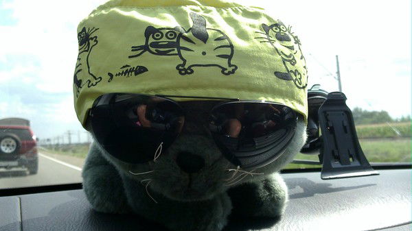 Мария Викторова