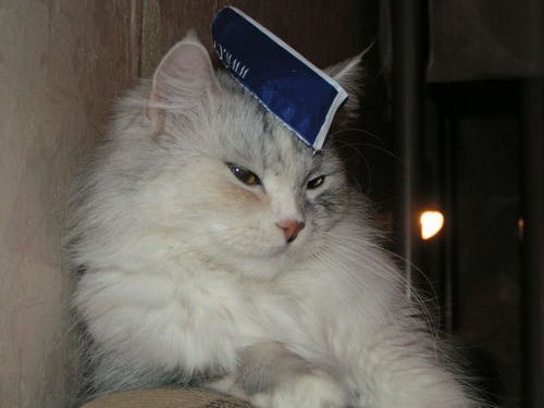 Евгения Александровна