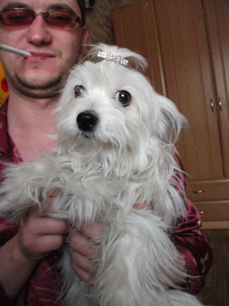 Александр Немченко