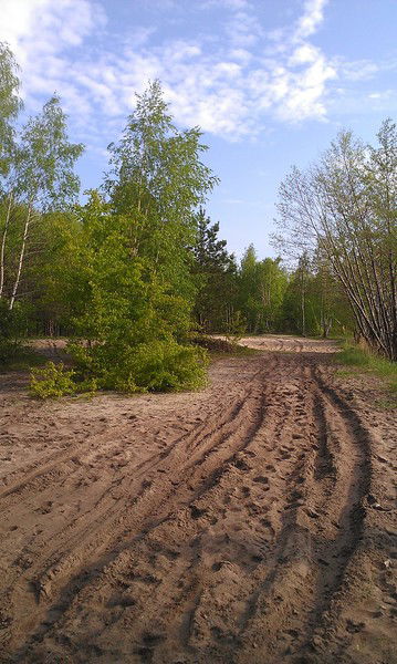 Вера Николаевна