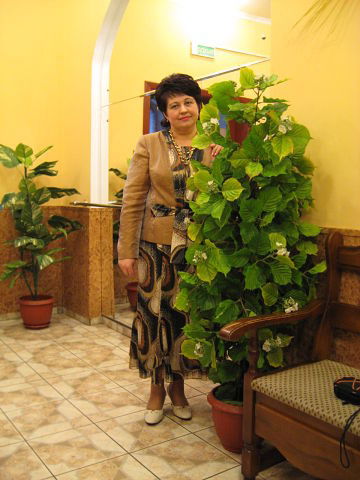 Дина Костенич