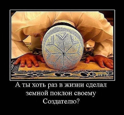 Далер Гулов