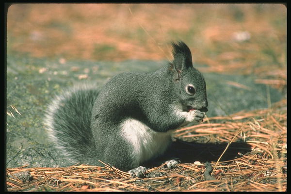 Татьяна Иванова