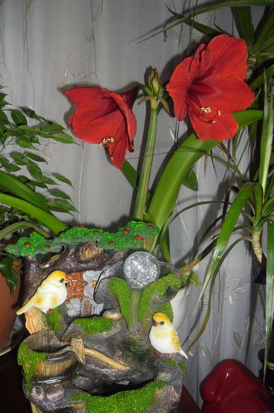 Нина Скорик