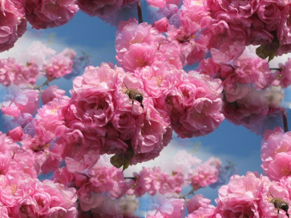 Людмила Федорова