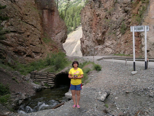 Галина Цибулина