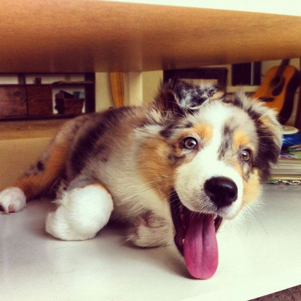 Серёжа Сантии