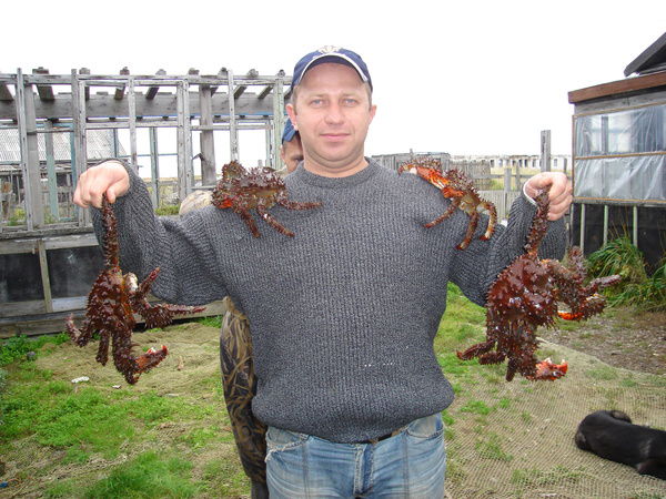 Стас Аверьянов