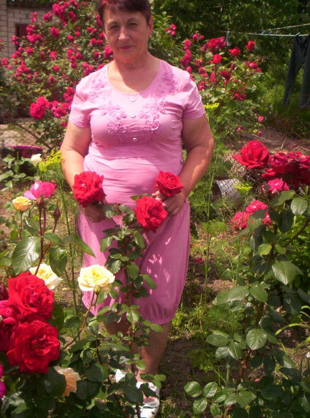 Света Хицай