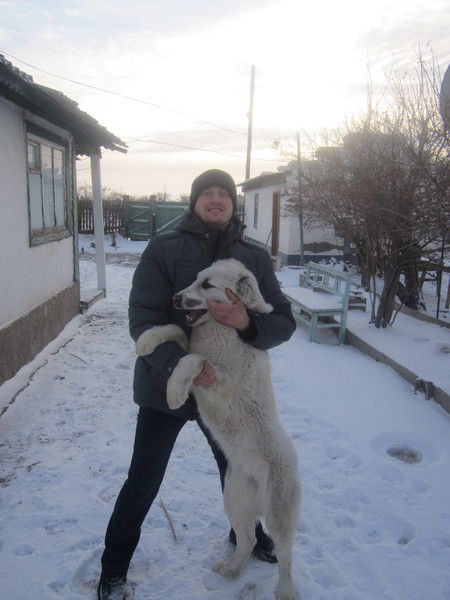 Василий Дорош