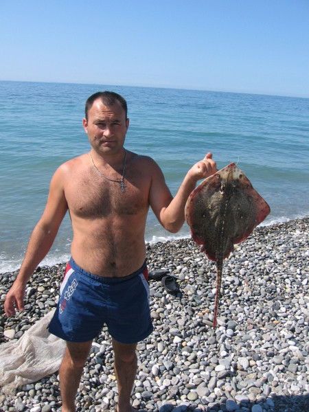 Владимир Миронец