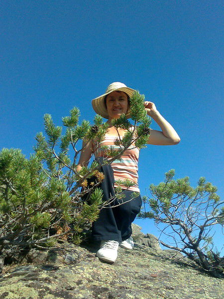 Гульшара Мерсеитова