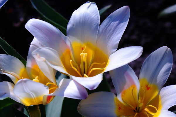 Юлия )))))))))))