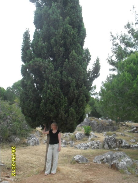 Зомби Ферма 777