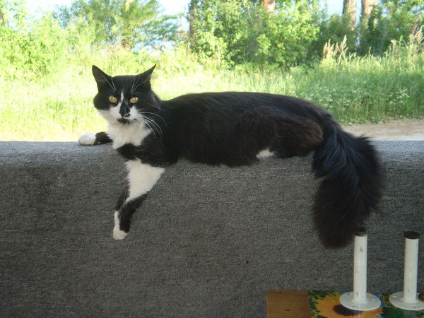 Влад Санников