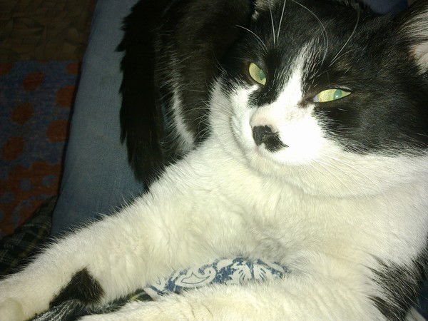 Дмитрий Меос