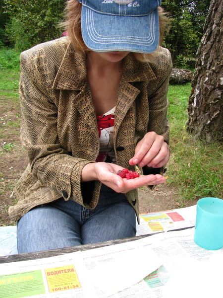 Елена Шишкина