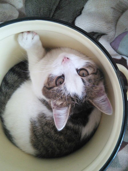 Лилия Кутузова