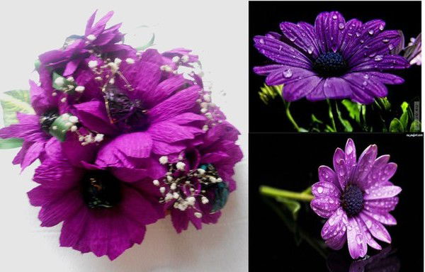 Наталья Лемешко